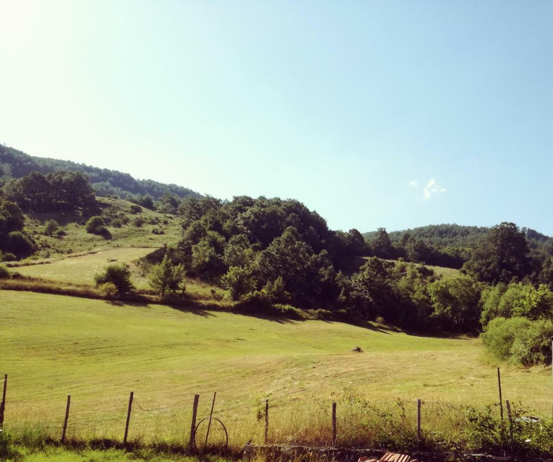 Agriturismo Acquagentile Терранова-ди-Поллино Экстерьер фото